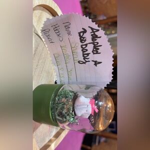 Green Terrarium with Pink Accents